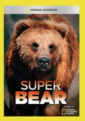 Super Bear - Super Bear - DVD