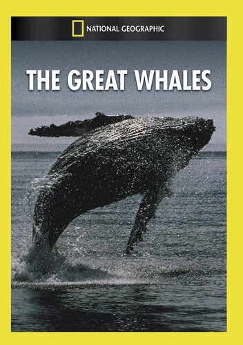 Great Whales - Great Whales - DVD
