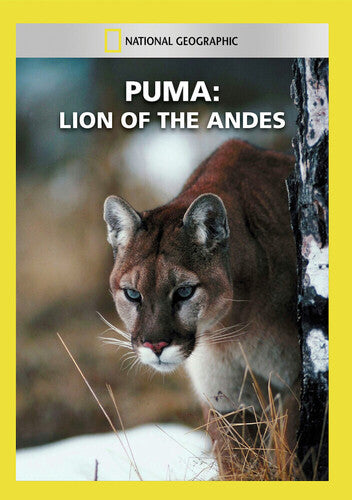Puma: Lion Of The Andes - Puma: Lion Of The Andes - DVD