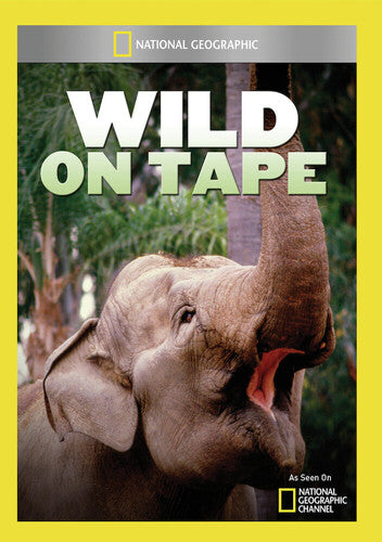 Wild On Tape - Wild On Tape - DVD