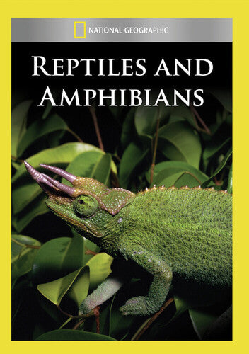 Reptiles & Amphibians - Reptiles & Amphibians - DVD