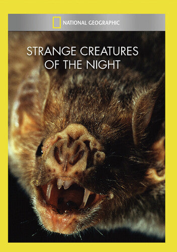 Strange Creatures Of The Night - Strange Creatures Of The Night - DVD