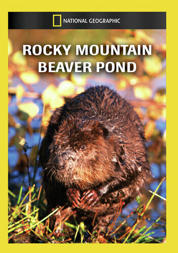 Rocky Mountain Beaver Pond - Rocky Mountain Beaver Pond - DVD