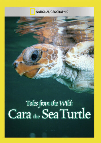 Tales From The Wild: Cara The Sea Turtle - Tales From The Wild: Cara The Sea Turtle - DVD