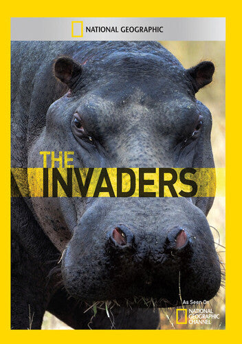 Invaders: Season 1 - Invaders: Season 1 - DVD