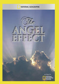 Angel Effect - Angel Effect - DVD