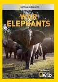 War Elephants - War Elephants - DVD