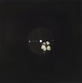 Perc & Modern Heads - Dax - Vinyl Record