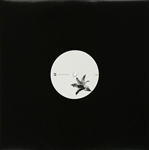 Lucy - Beelines For Working Bees - Vinyl Record