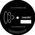 Damu - If You've Got Nothing To Hide/you've Got Nothing T - Vinyl Record