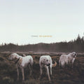Foxing - Albatross - Vinyl Record