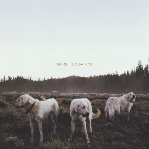 Foxing - Albatross - Vinyl Record