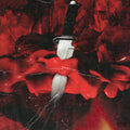 PRE-ORDER 21 Savage & Metro Boomin - Savage Mode [Black Vinyl] [Vinyl] Vinyl Record