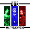 Dsk - Best Of: What Would We Do - Music CD