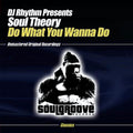 Dj Rhythm Presents Soul Theory - Do What You Wanna Do - Music CD Single