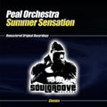 Peal Orchestra - Summer Sensation - Music CD Single