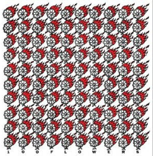 100 Flowers - 100 Flowers - Vinyl Record