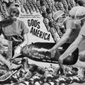 God's America - Our Bones Will Bleach In The Sun - Vinyl Record