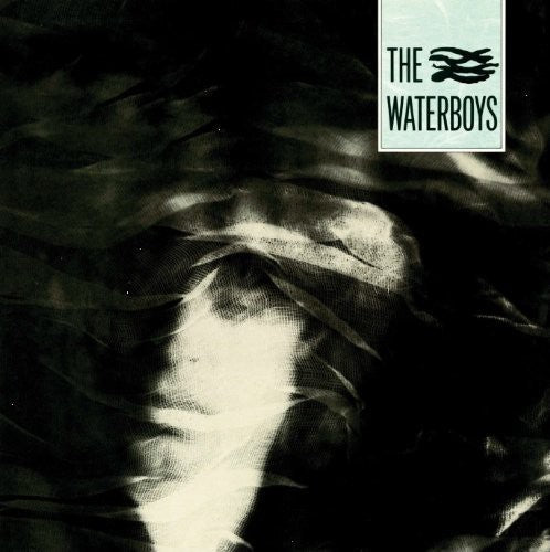 Waterboys - Waterboys - Vinyl Record