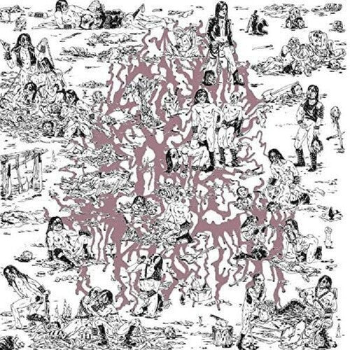 Soft Pink Truth - Why Do The Heathen Rage - Music CD