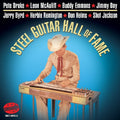 Steel Guitar Hall Of Fame / Various - Steel Guitar Hall Of Fame / Various - Music CD