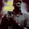 John Lee Hooker - That's My Story: Sings The Blues Vinyl Record