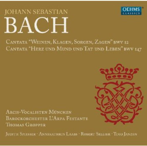 Bach,j.s. / Arcis-vocalisten Munich / Janzen - Cantatas - Music CD