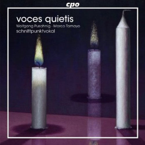 Schnittpunktvokal - Voces Quietis - Music CD