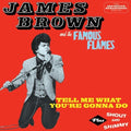 Brown,james & Famous Flames - Tell Me What You're Gonna Do / Shout & Shimmy - Music CD