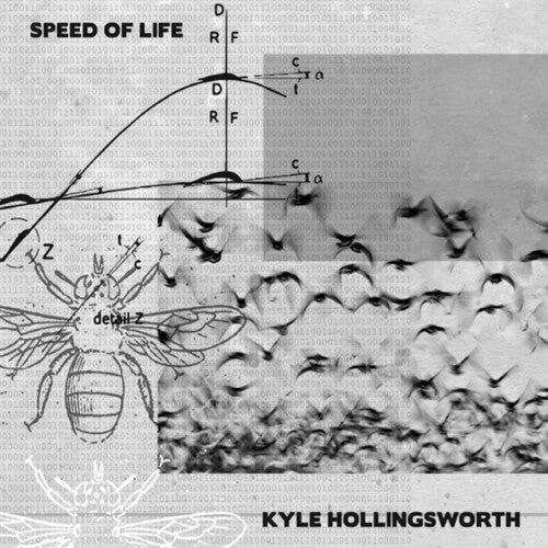 Hollingsworth,kyle - Speed Of Life - Music CD