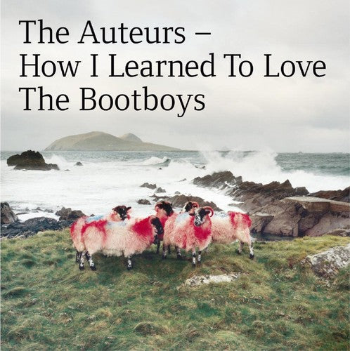 Auteurs - How I Learned To Love The Bootboys - Music CD