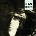 Waterboys - Pagan Place - Vinyl Record