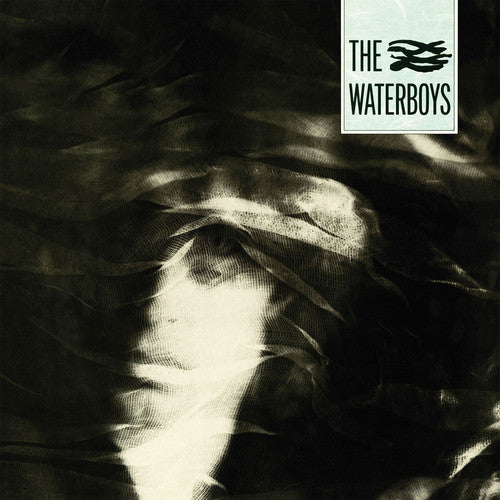 Waterboys - Pagan Place - Vinyl Record