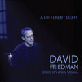 Friedman,david - Different Light: David Friedman Sings His Own - Music CD