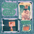 Modest Mouse - Sad Sappy Sucker - Vinyl Record