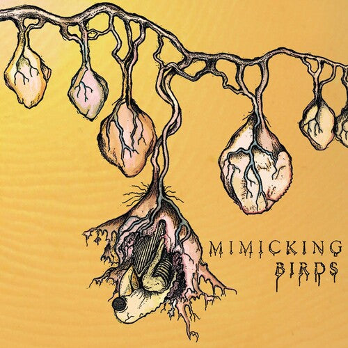 Mimicking Birds - Mimicking Birds - Music CD