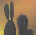 Quitapenas - Mas Tropical/que Te Pasa - Vinyl Record