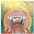 Tequila Mockingbird Orchestra - Follow My Lead Lead Me To Follow - Music CD