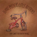 Diane Parker's Little Accidents - You Can't Fix Everything - Vinyl Record