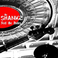 Shanks - Feel The Holes - Vinyl Record