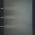 Hammock - Sleepover Series: Vol. 2 - Music CD