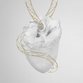 Vampillia - Alchemic Heart - Vinyl Record