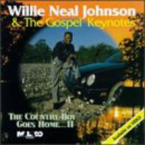 Johnson,willie Neal - Country Boy Goes Home 2 - Music CD