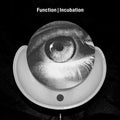 Function - Incubation - Vinyl Record