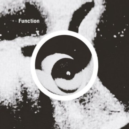 Function - Gradient - Vinyl Record