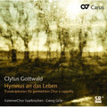 Gottwald / Chamber Choir Saarbrucken / Grun - Hymn To The Life (hymnus An Das Leben) - Music CD