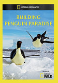 Building Penguin Paradise - Building Penguin Paradise - DVD