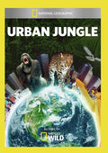 Urban Jungle - Urban Jungle - DVD