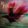 Professor Louie & Crowmatix - Wings On Fire - Vinyl Record