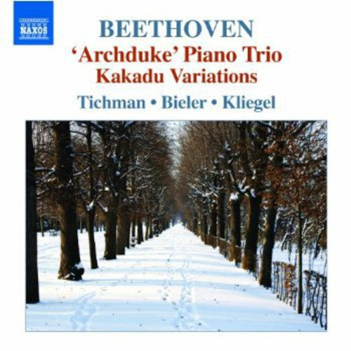 Beethoven / Xyrion Trio - Piano Trios 5 - Music CD